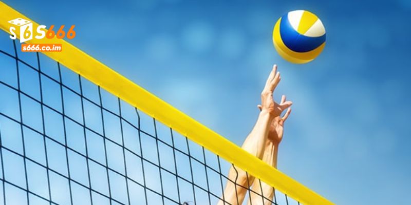 Cá Cược Bóng Chuyền S666 - Khám Phá Các Kèo Đầu Tư Thú Vị 4 Tìm hiểu kỹ càng về tỷ lệ cược tại S666