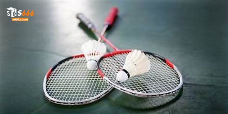 Cá Cược Cầu Lông Tại S666 - Sân Chơi Cho Người Yêu Thể Thao 4 Cược chẵn lẻ sẽ phù hợp với newbies hơn