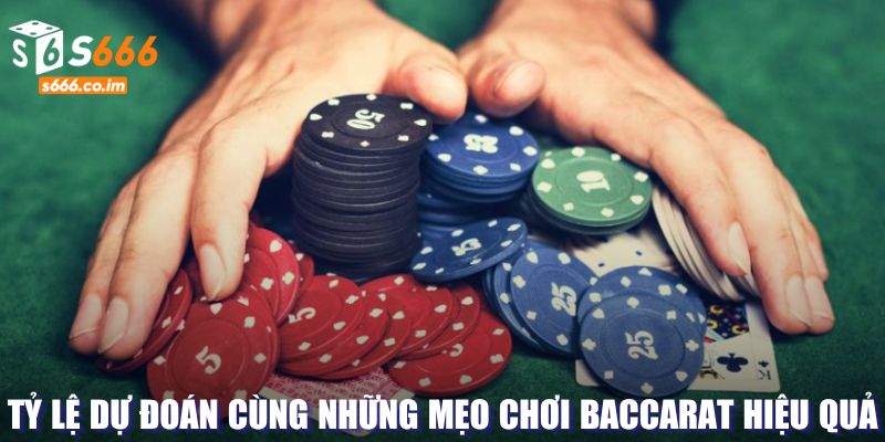 Mẹo Chơi Baccarat - Tiết Lộ Về Những Chiến Lược Bí Mật 3 Tỷ lệ dự đoán trong Baccarat hữu ích
